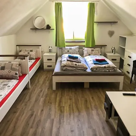 Guest house Domanin 3*