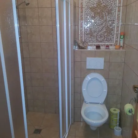 Guest house Domanin 3*