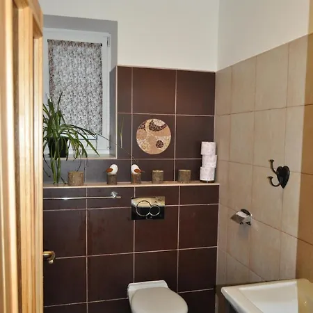 Guest house Domanin 3*